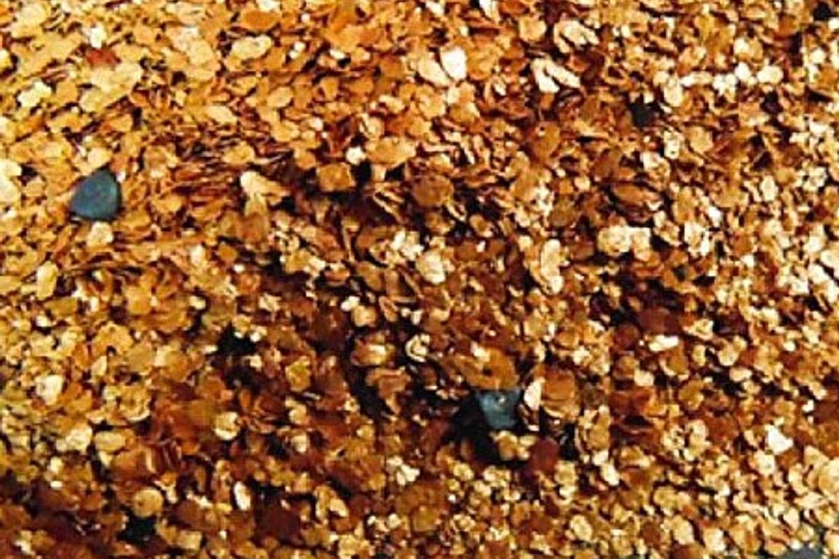 Gold concentrate
